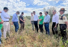 Los cazadores andaluces exigen a la Junta de Andalucía que regule los periodos de desbroce en el olivar