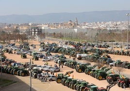 Así será la manifestación del campo de Córdoba: reparto de aceite gratis, fecha, lugar y motivos