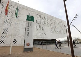 La Audiencia de Córdoba condena a 17 años de prisión al acusado de apuñalar a su expareja embarazada de 7 meses