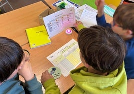 «A mi hijo le regañaban en el colegio por no aprender y nosotros le reñíamos en casa. Fue una tortura»