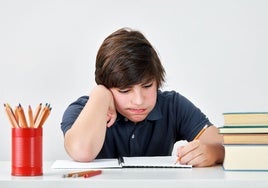 «Es muy listo, pero no se esfuerza, y eso afecta a su rendimiento escolar»