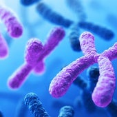 La pérdida del cromosoma Y, la causa por la que algunos cánceres son más agresivos en los hombres