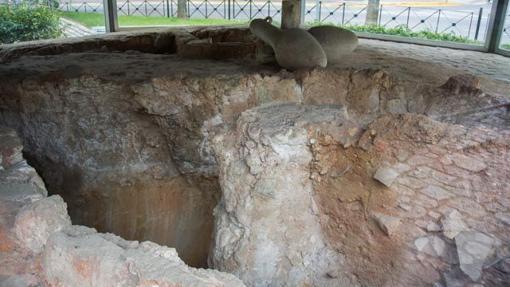 Descubre los 10 yacimientos arqueológicos más destacados y valiosos de la provincia de Cádiz